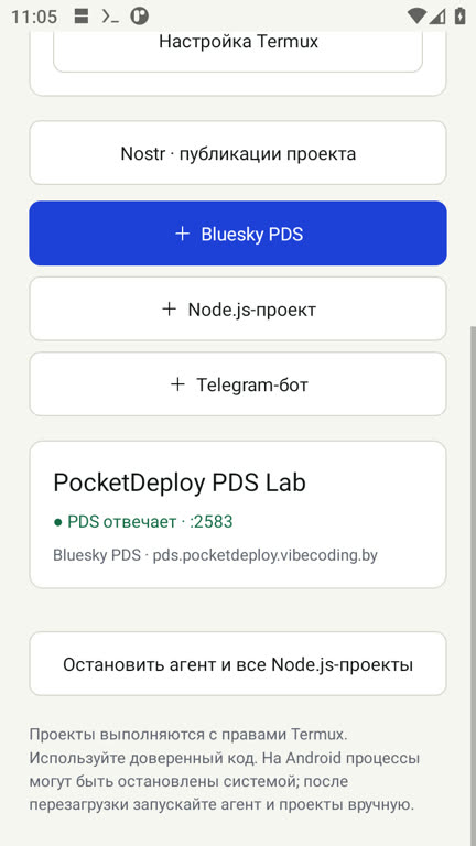 Экран PocketDeploy: Node.js в Termux