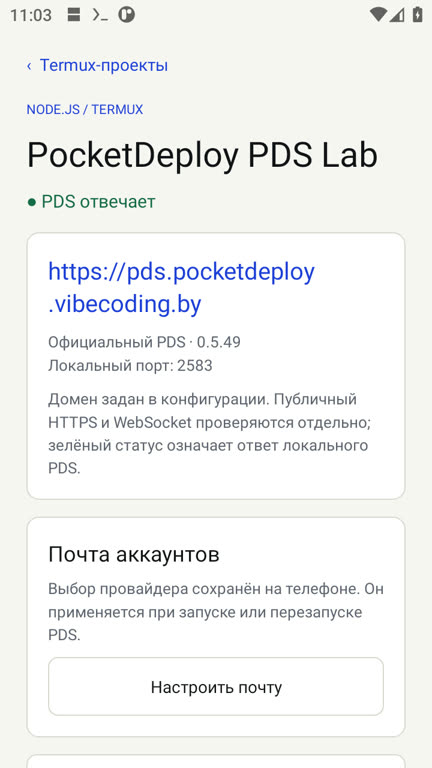 Экран PocketDeploy: Bluesky · свой PDS